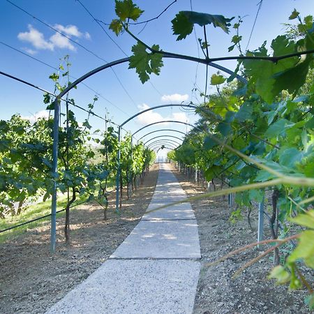 Agriturismo Il Vecchio Mandorlo Perugia Ngoại thất bức ảnh