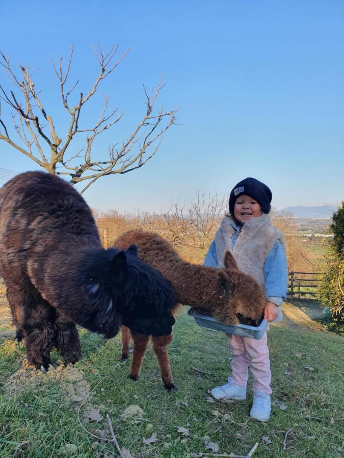 Agriturismo Il Vecchio Mandorlo Perugia Ngoại thất bức ảnh