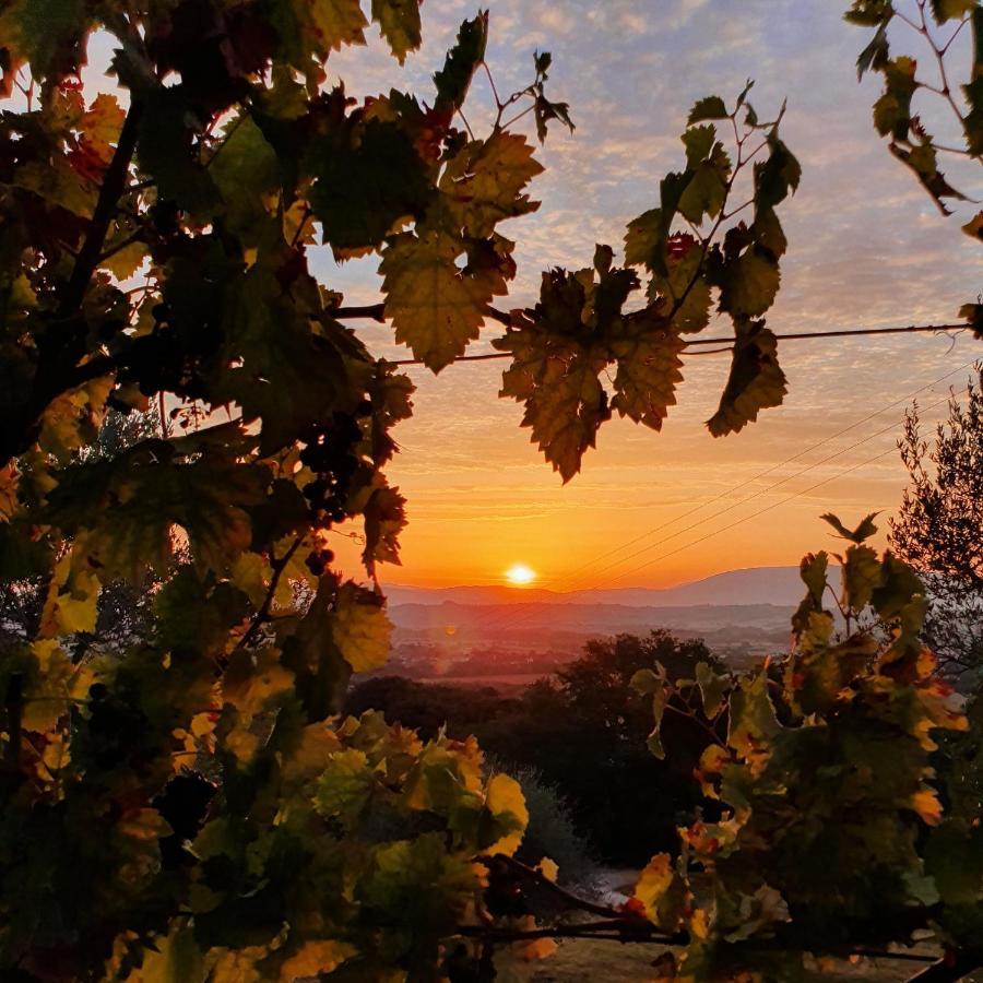 Agriturismo Il Vecchio Mandorlo Perugia Ngoại thất bức ảnh