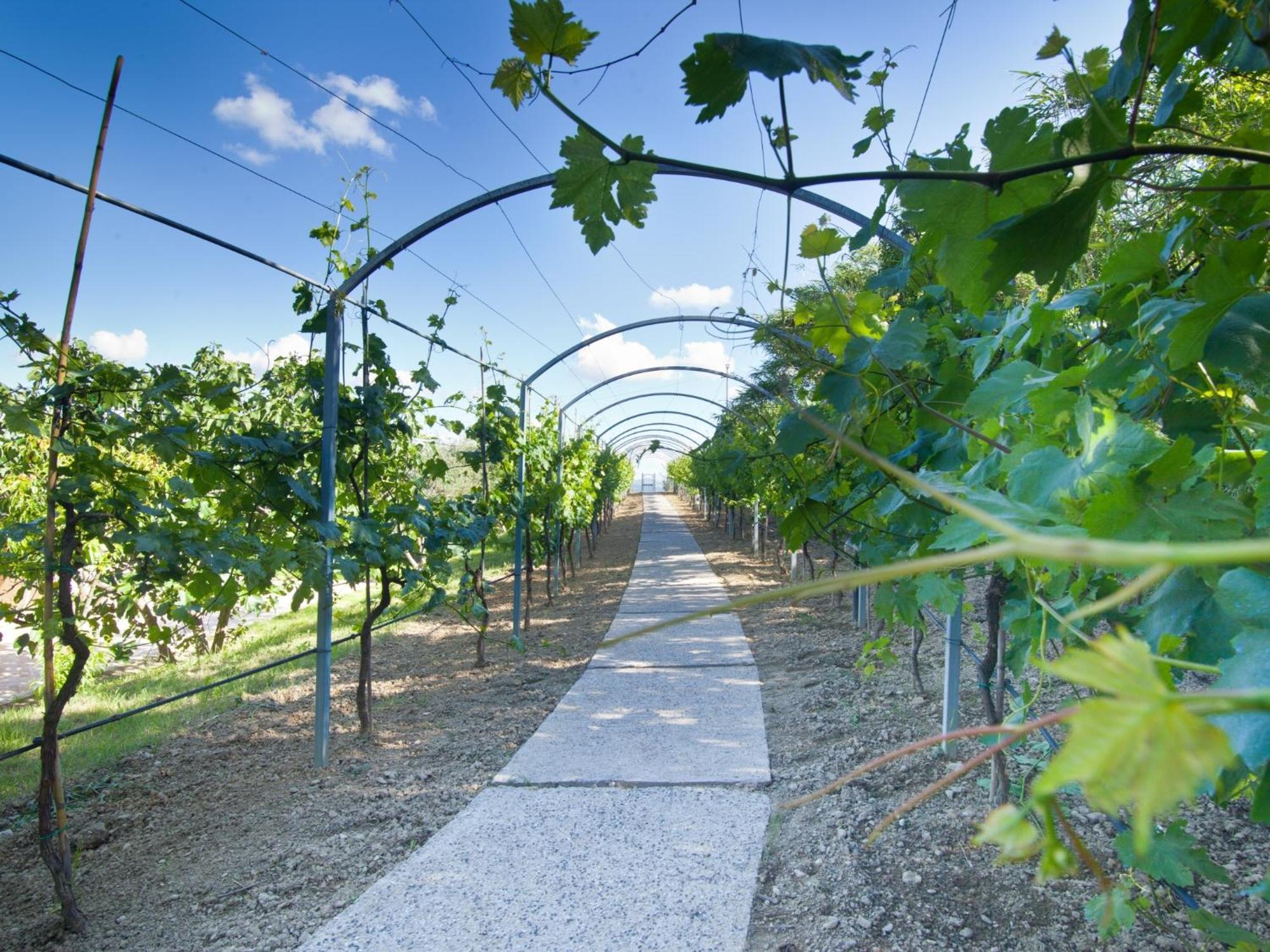 Agriturismo Il Vecchio Mandorlo Perugia Ngoại thất bức ảnh